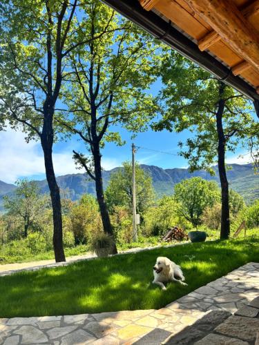Cottage retreat- Skadar Lake in Sotonići