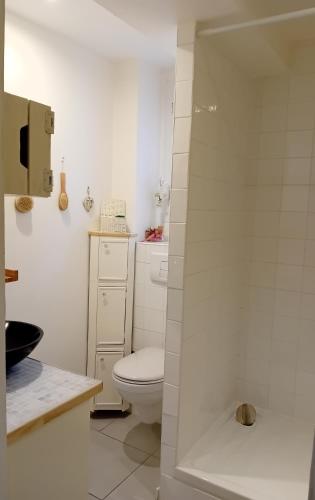 Studio indépendant Chez l'hôte - possibilité parking gratuit - 5 min Métro accès rapide toute la Ville - 15 min Elyamaje, Marseille (photo 10)