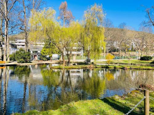 周邊環境, Apartment für Berufsreisende (Apartment fur Berufsreisende) in 巴特奧爾布