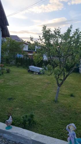 A szálláshely kívülről, Casa Darius-Filip in Strimtura