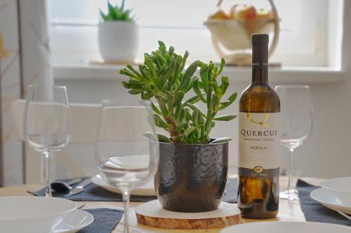 Iekārtas, Apartma med krošnjami (Apartma med krosnjami) in Bohiņsko Jezero