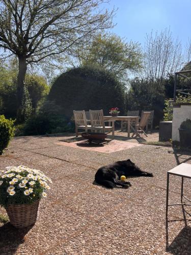 Ferienhaus Lüneburger Heide mit Therapiemöglichkeit (Ferienhaus Luneburger Heide mit Therapiemoglichkeit) in Bad Bevensen