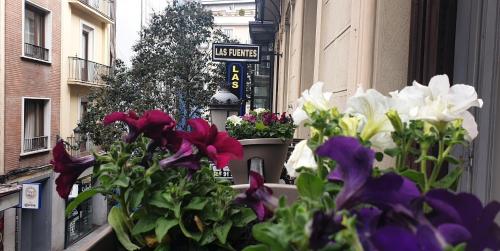 Hostal Las Fuentes, Madrid
