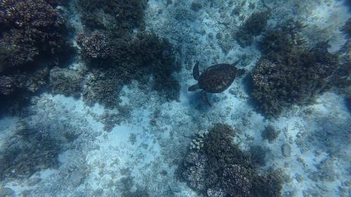 The Lighthouse Resort The Lighthouse Resort