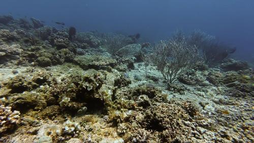 The Lighthouse Resort The Lighthouse Resort