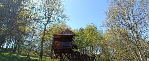 Viesnīcas āriene, Kis Tűzlepke Lombház (Kis Tuzlepke Lombhaz) in Orfalu