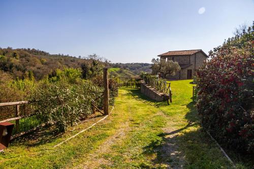  Home with a view in Scansano, Tuscany in Scansano