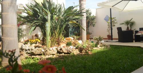 Kimos – San Vito Lo Capo, CA