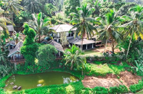 Rainforest Nest in Kotapola
