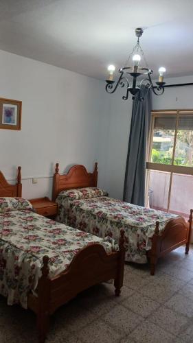 La Casona del Pinar Albergue - image 12