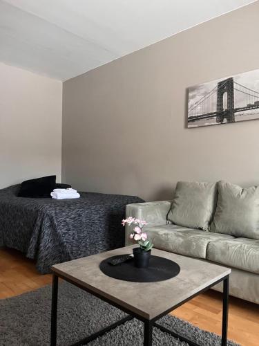 Kompakti yksiö Sepis (Kompakti yksio Sepis) in โจเอินซู