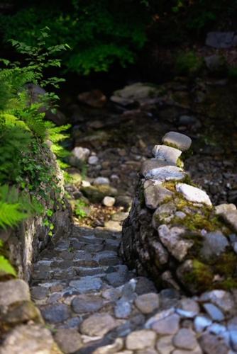 Hotel Promyk Wellness & Spa – Karpacz, WI