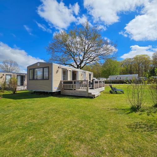 Chalet Zomerdroom Gasselte