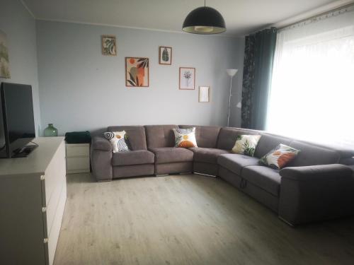 1 queen bed, 1 sofa bed
