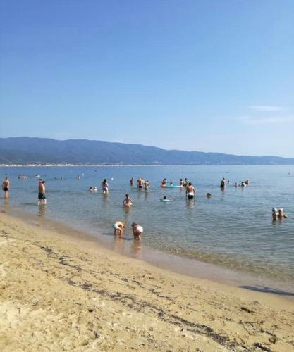 Ακταίον, Stavros (fotografie 7)