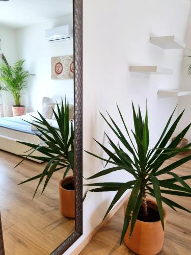 Chill Inn Hostel – Tulum, TX