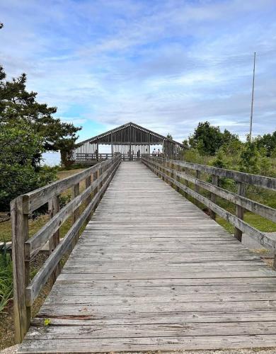 Starlight Serenity Starlight Serenity