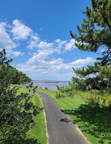 Starlight Serenity Starlight Serenity