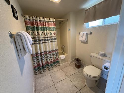 Barewood Inn & Suites - 샤워실