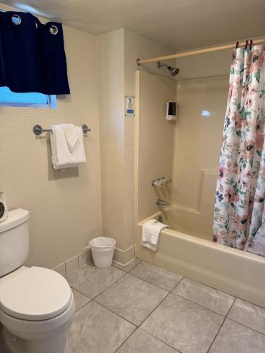 Barewood Inn & Suites - 샤워실