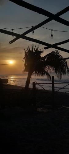 Hotel Palmar Surf Camp & School in 산 카를로스