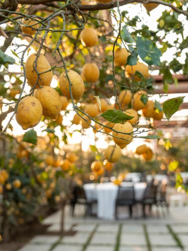 Boutique Hotel Casa Mariantonia - image 12