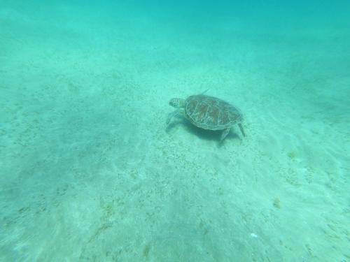 Desert & Sea Haven Marsa Alam