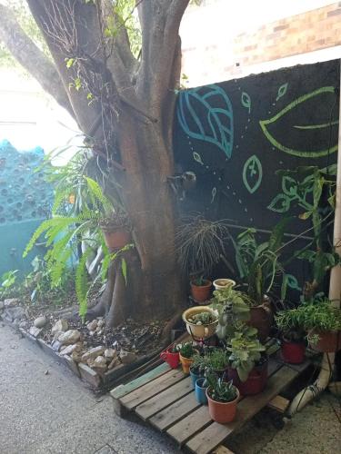 Casa de botellas in Liniers