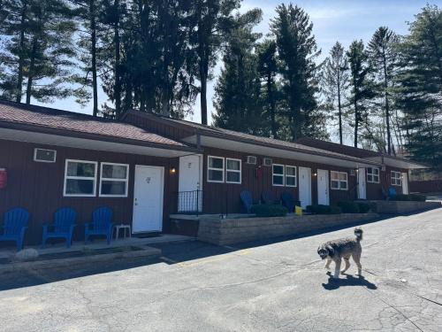 Mohican Resort Motel, Conveniently located to all Lake George attractions