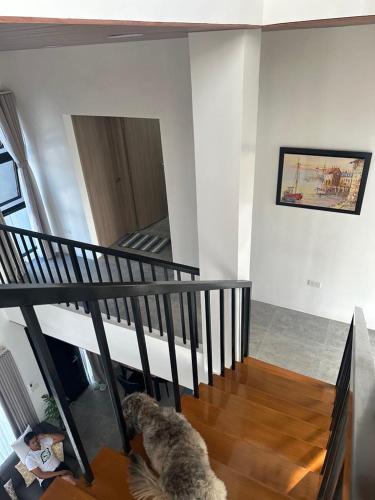 3 Storey Modern Guest House 3 Storey Modern Guest House