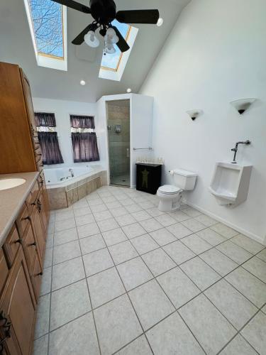 Forever Young Forever Young