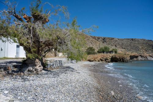 Xrisanthy's House in Itanos