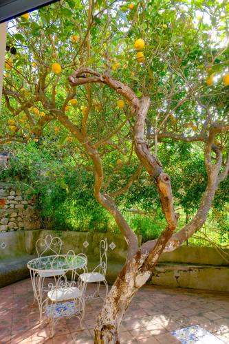 Villa Dorothee Room Type - Double Room with Terrace