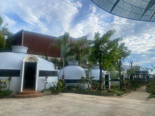 Bing Bong HoTel - Khách Sạn Sân Vườn