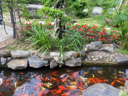 Bing Bong HoTel - Khách Sạn Sân Vườn