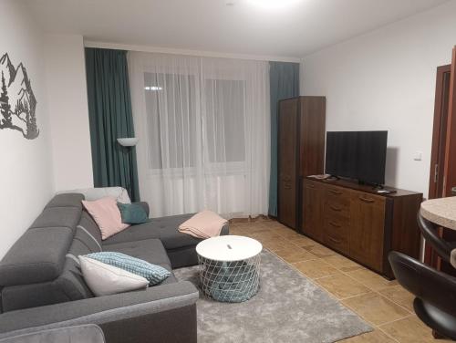 jaettu olohuone/TV alue, Apartmán Frymburk (Apartman Frymburk) in Frymburk