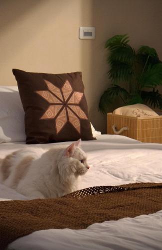 1 double bed