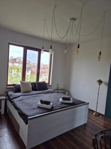 Wonderland Rooms for Rent, Sofia (photo 4)