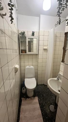 Historical 2, 2 persons, Kodaň (fotografie 8)