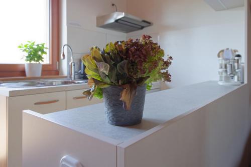 Ferienwohnung am See-Neu mit Balkon in Neusalza-Spremberg