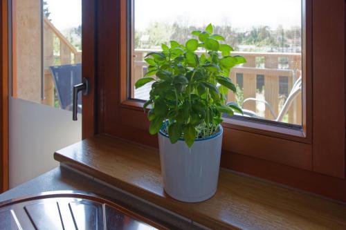 Ferienwohnung am See-Neu mit Balkon in Neusalza-Spremberg