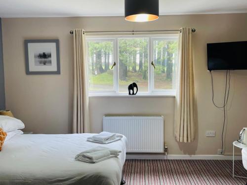 Colliford Lake Tavern & Holiday Park - image 12