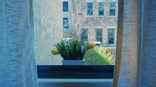 Interfaith 21st Street near Whitney Amerikai Művészet Múzeuma