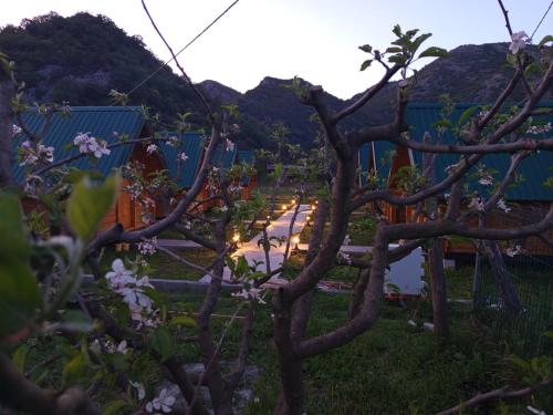 Lingkungan sekitar, Camp River in Virpazar