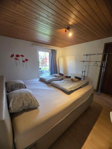 Lakeberry Apartment in Hofe