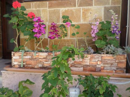 Tina Hotel - image 12