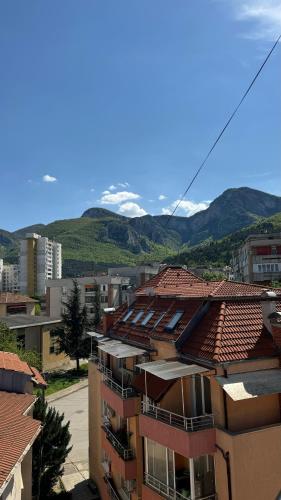 Sunny & Stylish Apartment, Vratsa (fotografie 10)