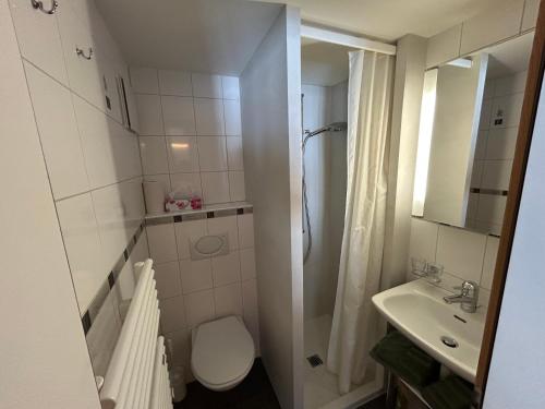 Alpenchalet Weidhaus-Spiher Ferienwohnungen & Studio & Zimmer - image 8