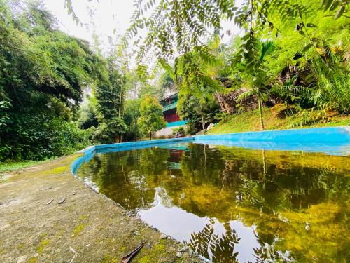 Dārzs, Sinharaja Retreat  in Sinharaja