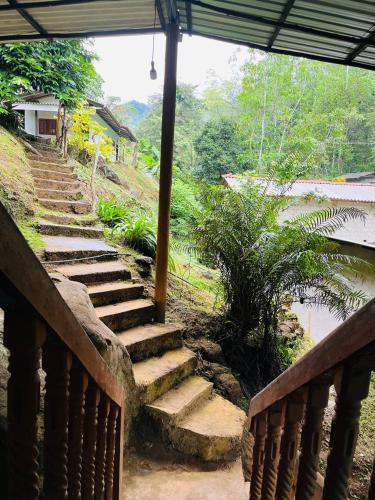 Dārzs, Sinharaja Retreat  in Sinharaja